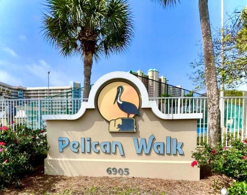 Pelican Walk 108